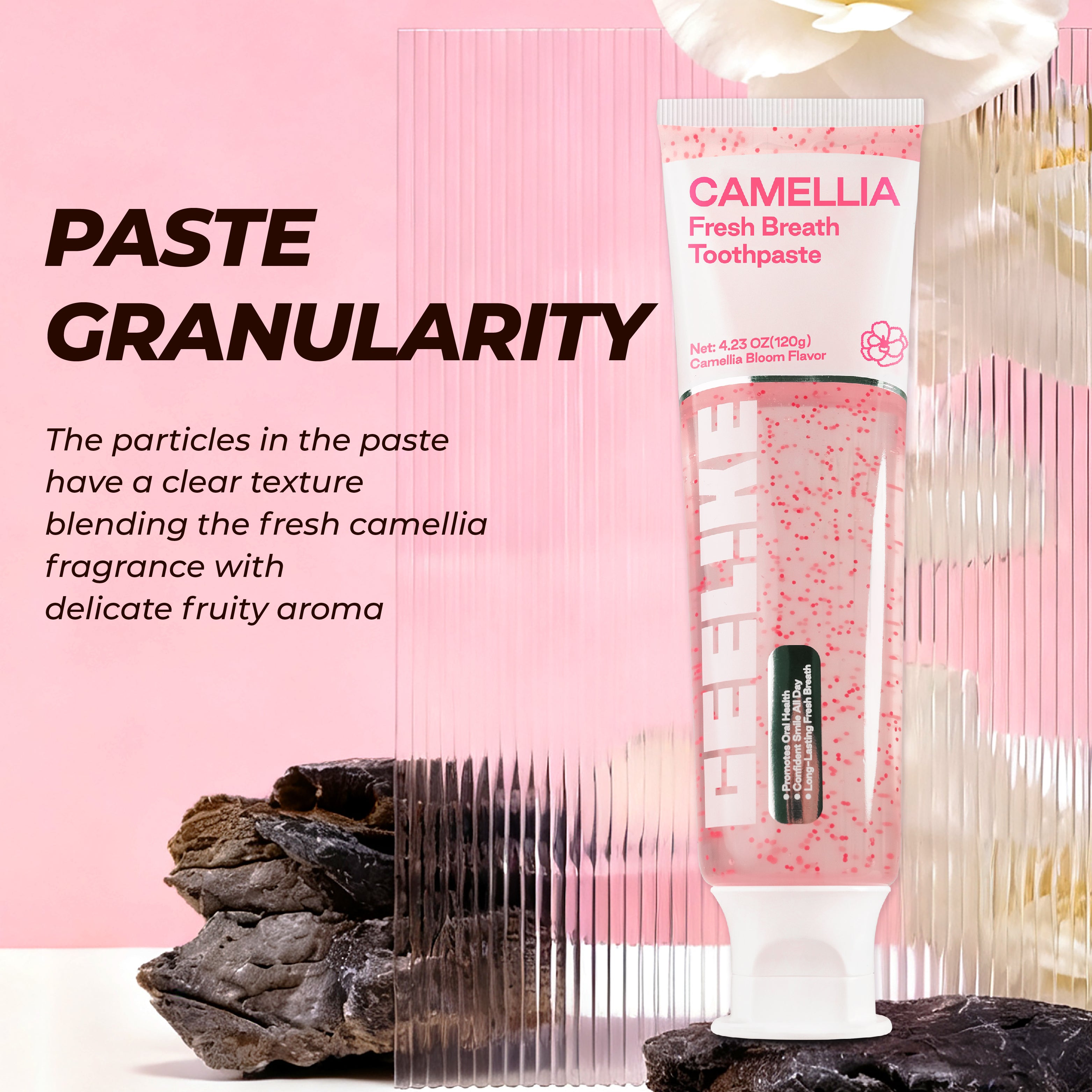 CEELIKE Camellia Fresh Breath Toothpaste – Gentle Clean, Lasting Freshness