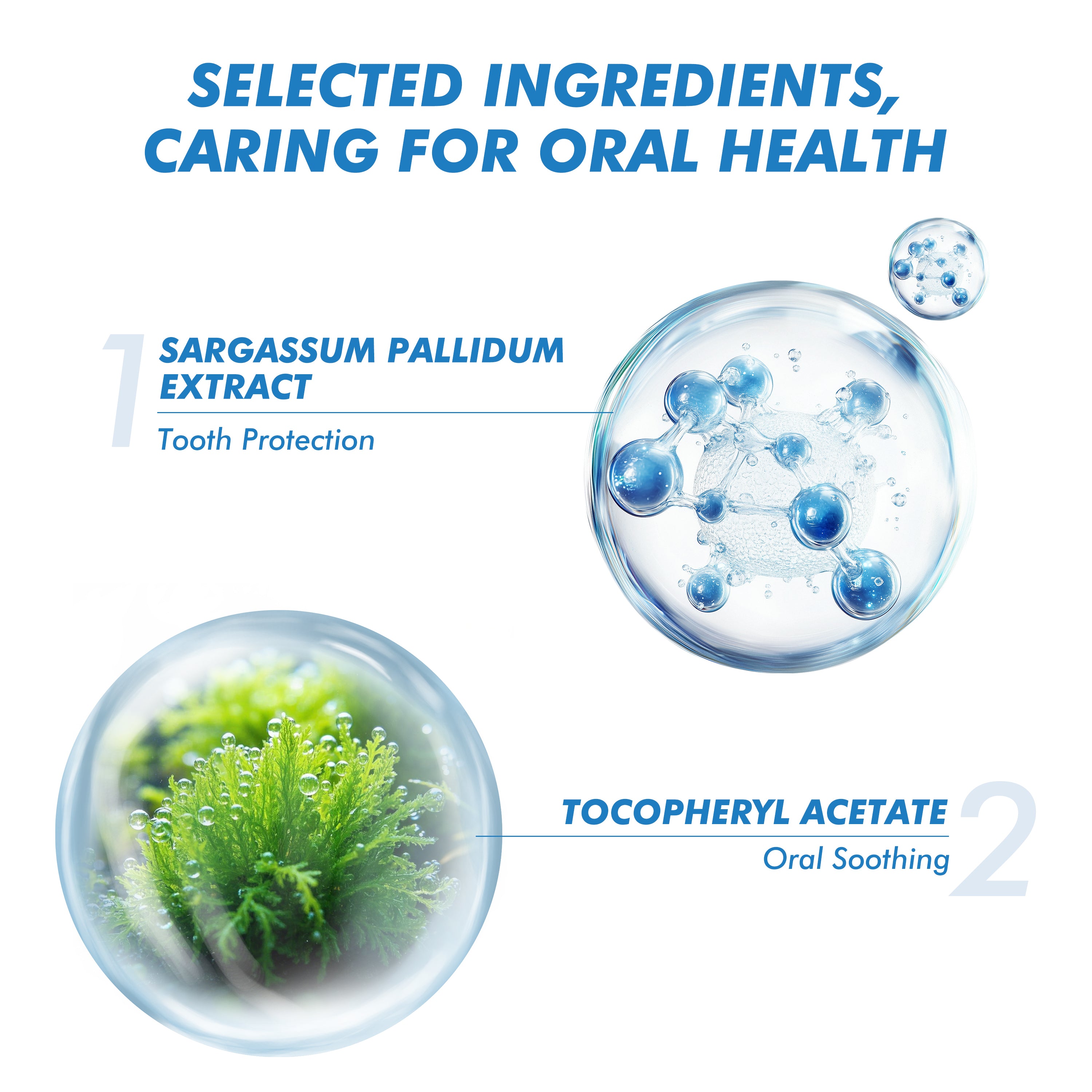 CEELIKE Ocean Mint Fresh Breath Toothpaste – Clean, Cool & Refreshing 120g