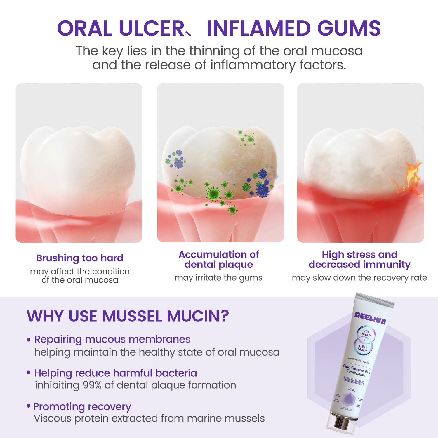 CEELIKE Advanced Gum Repair Toothpaste – Triple Protection