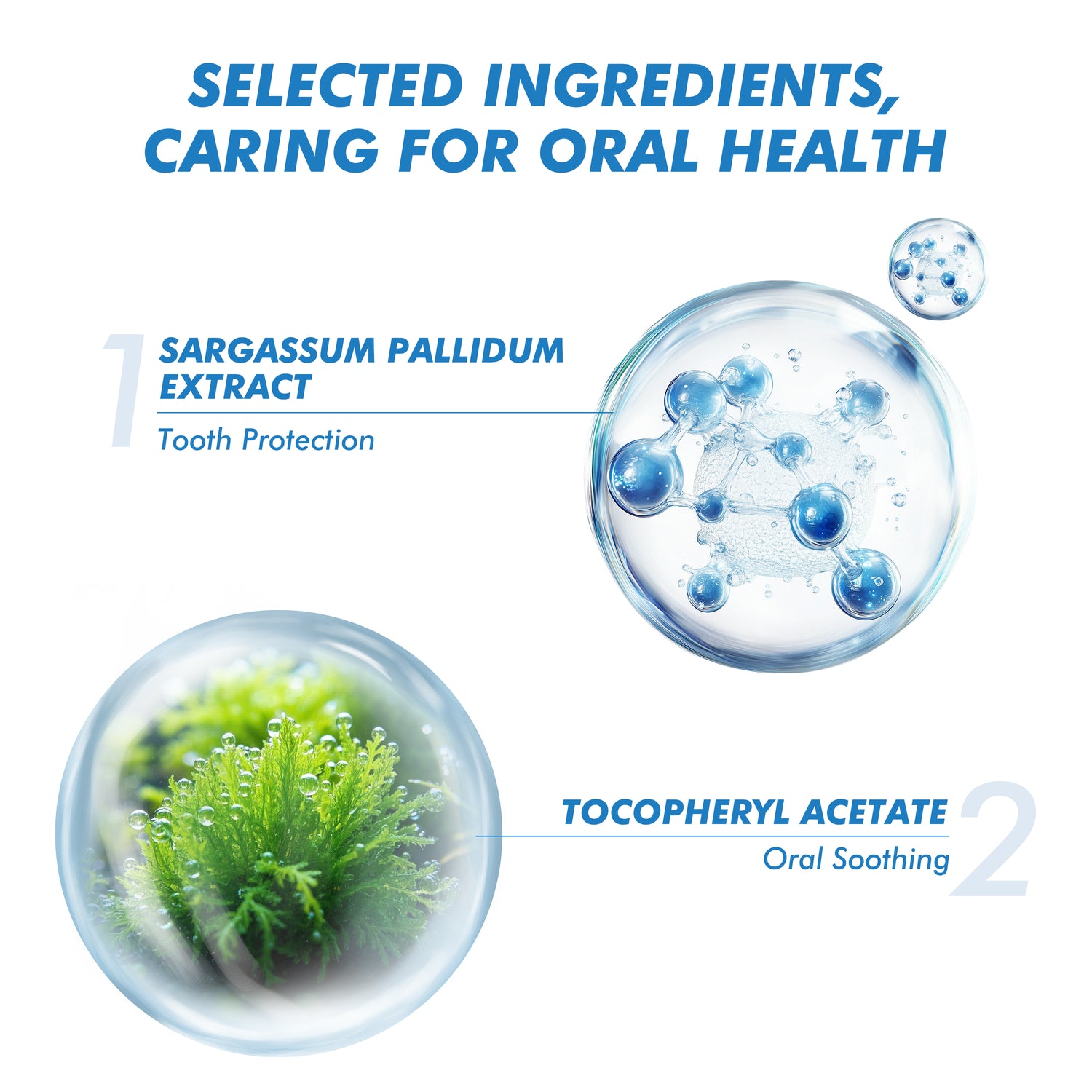 CEELIKE Ocean Mint Fresh Breath Toothpaste – Clean, Cool &amp; Refreshing 120g